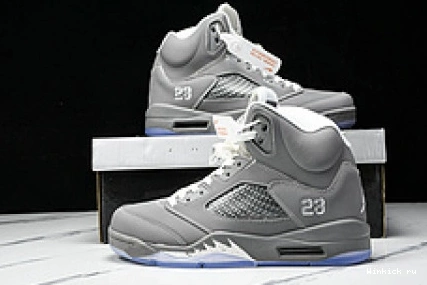 5 Jordan 'Wolf Retro Grey' 0830